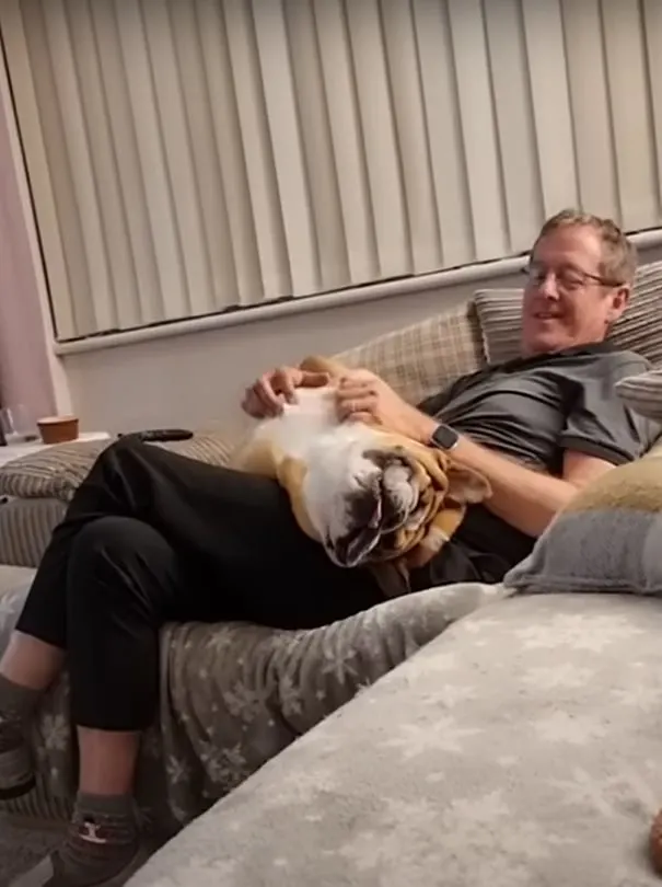 perro acostado sobre el dueño