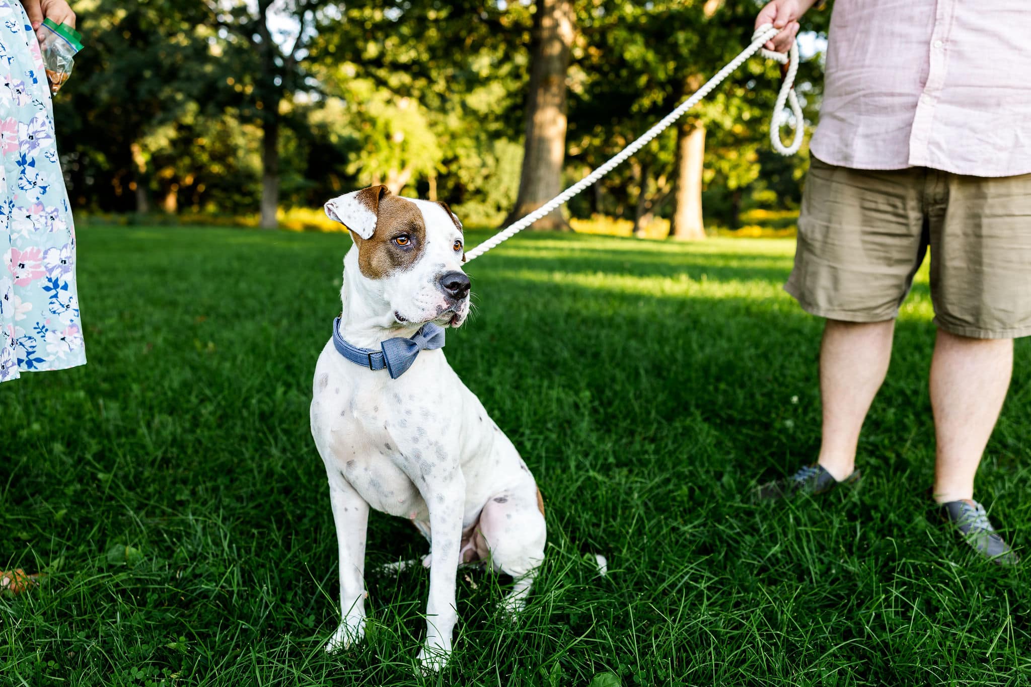 dog on a leash next to a man