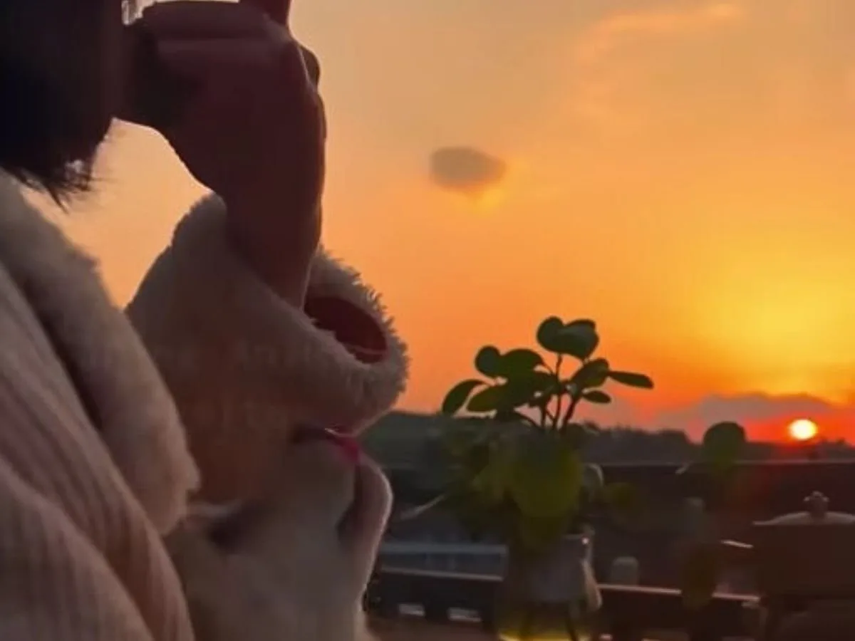 dog owner and sunset