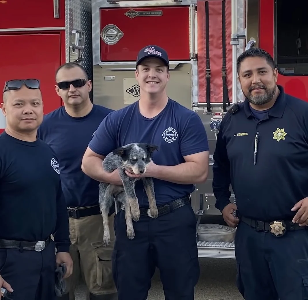 bomberos con cachorro
