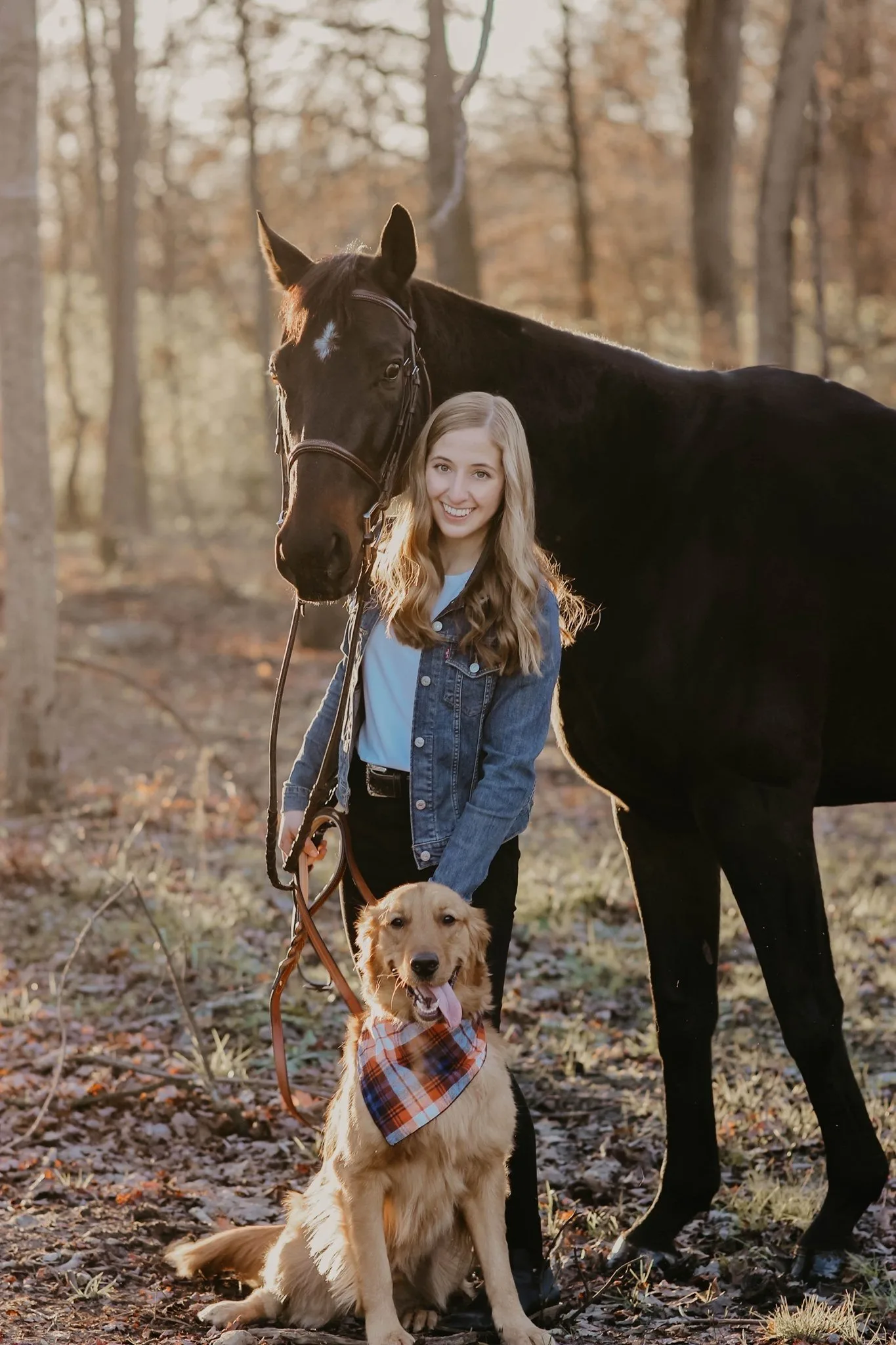 girl dog and horse