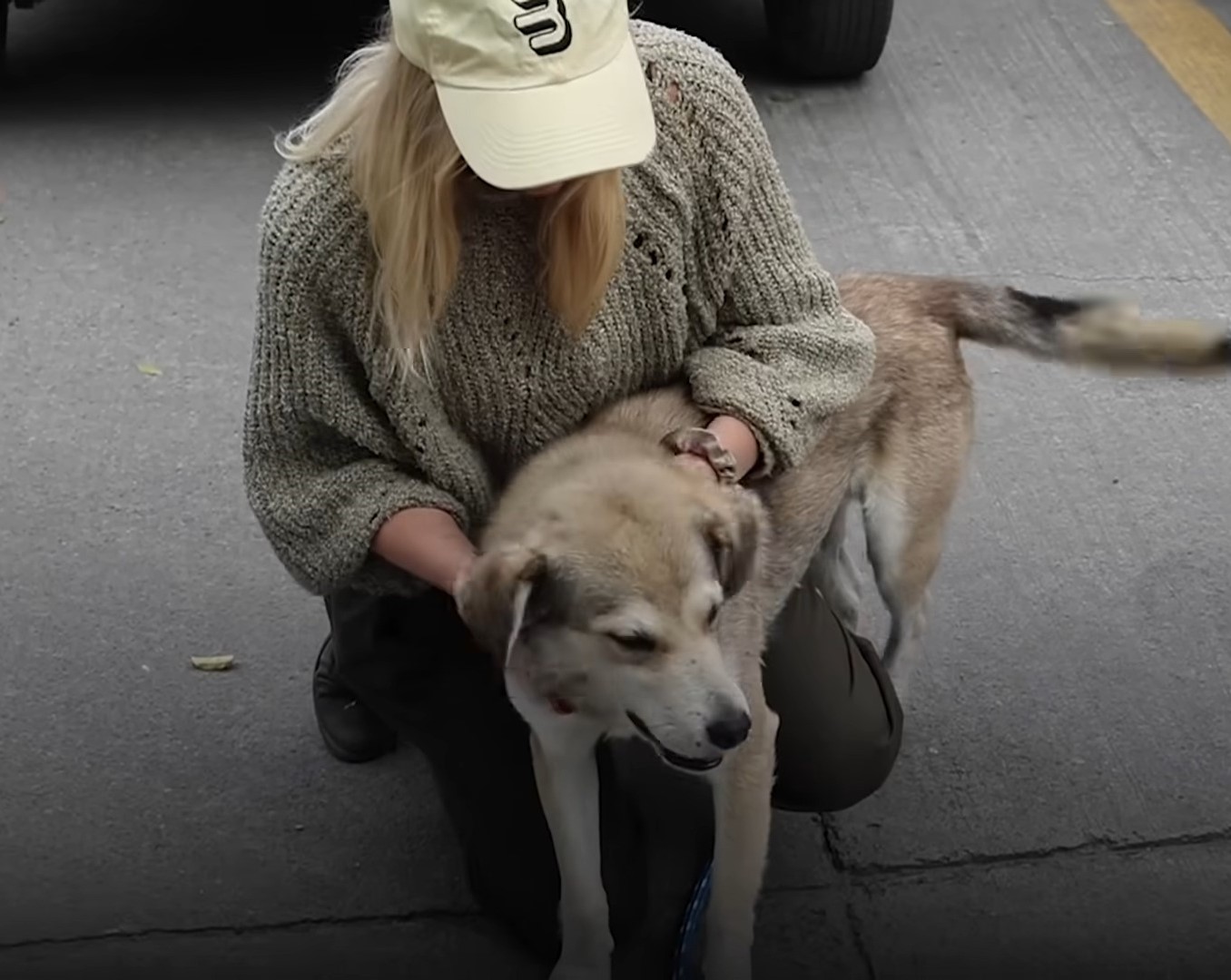 girl petting her gray dog