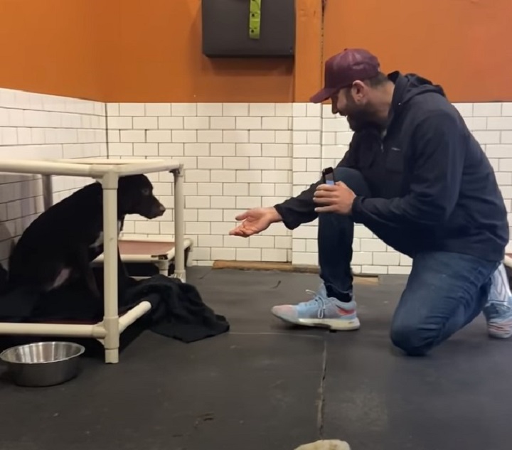 guy giving his hand to the dog