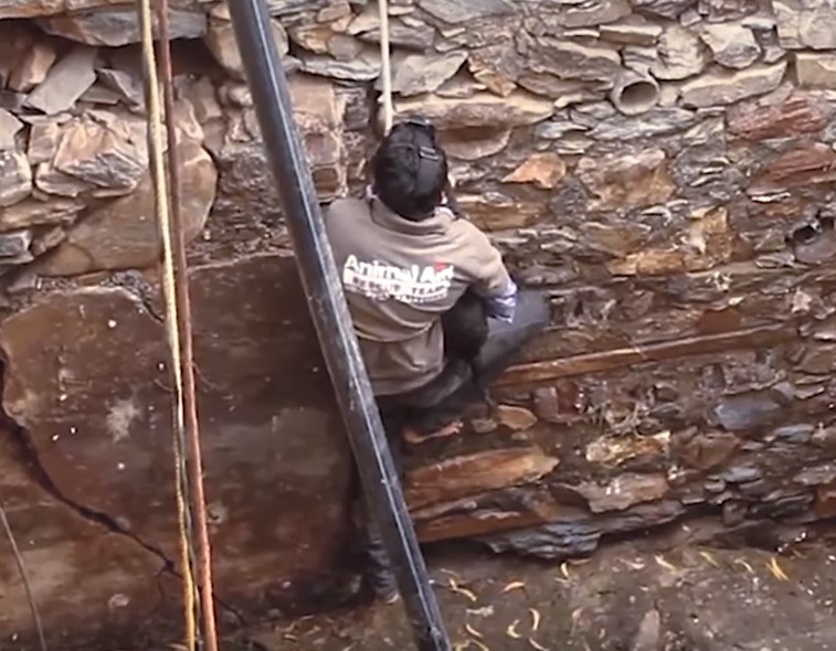 guy rescuing a dog from the well