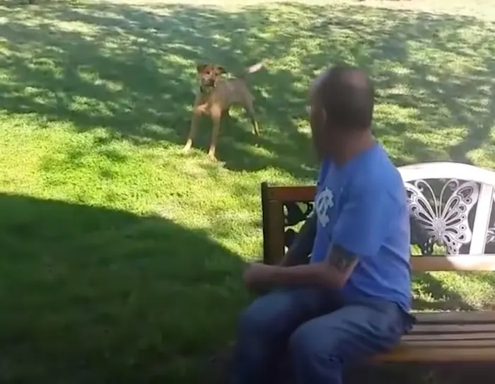 Un tipo con la camisa azul sentado en un banco y un perro jugando