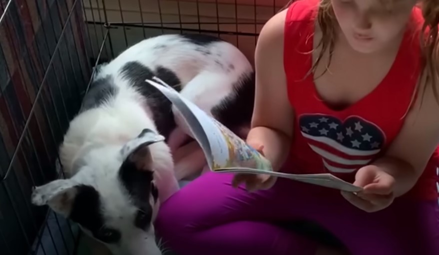 little girl holding a book and a dog lying next to her