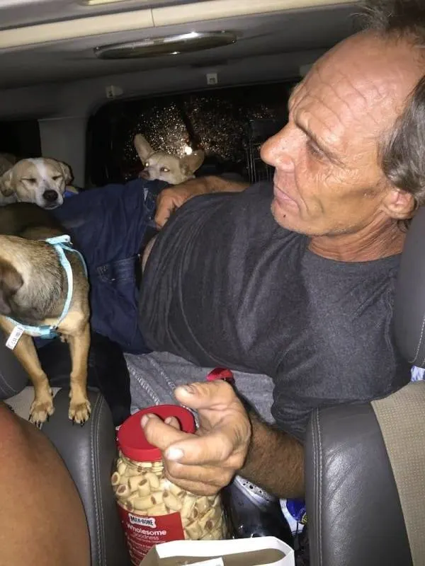 man lying in car surrounded with puppies