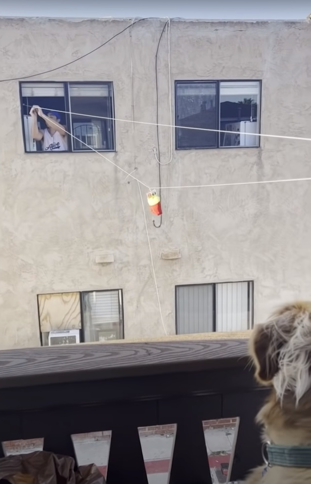 man sending dog treats over wires
