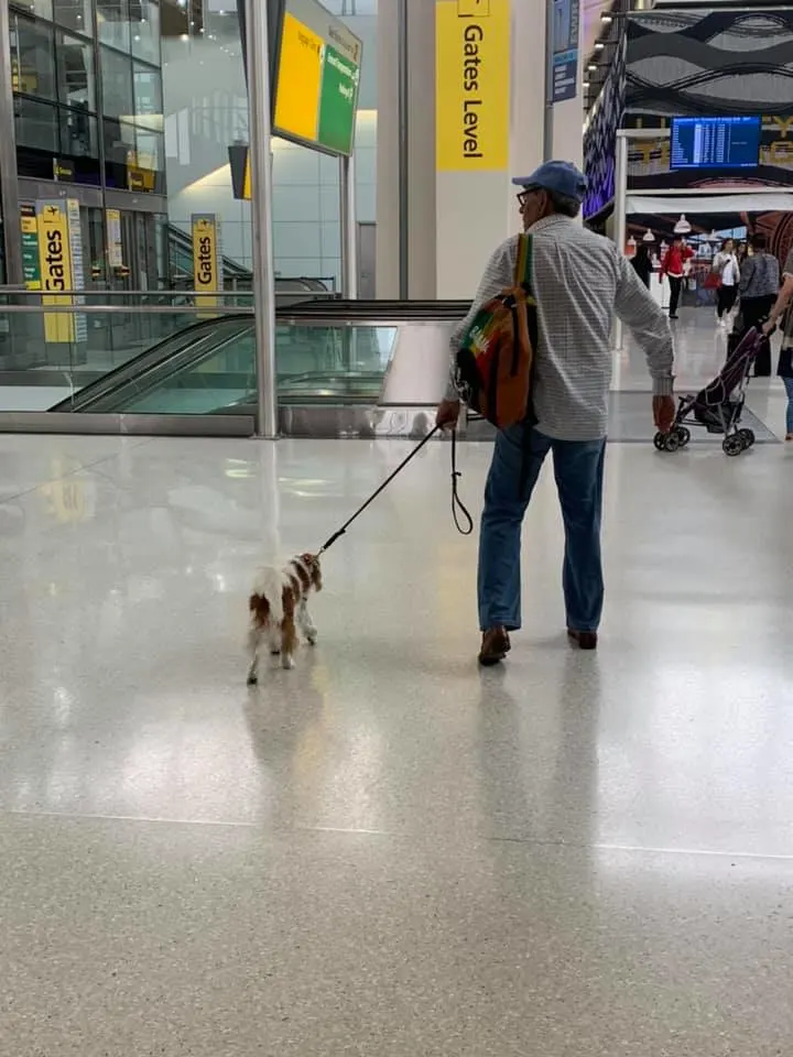 man walking dog on a leash inside an airport