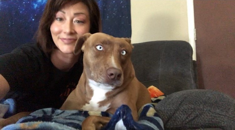 owner with her unique looking dor