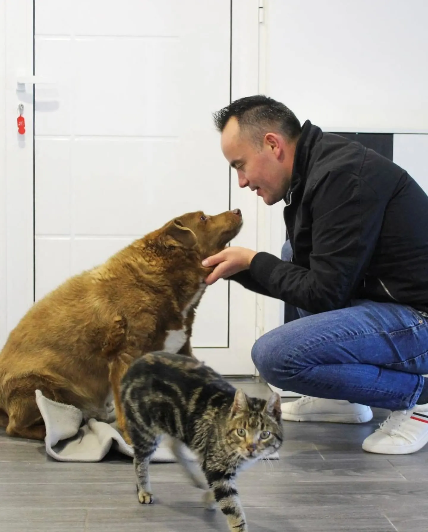owner with his dog and cat