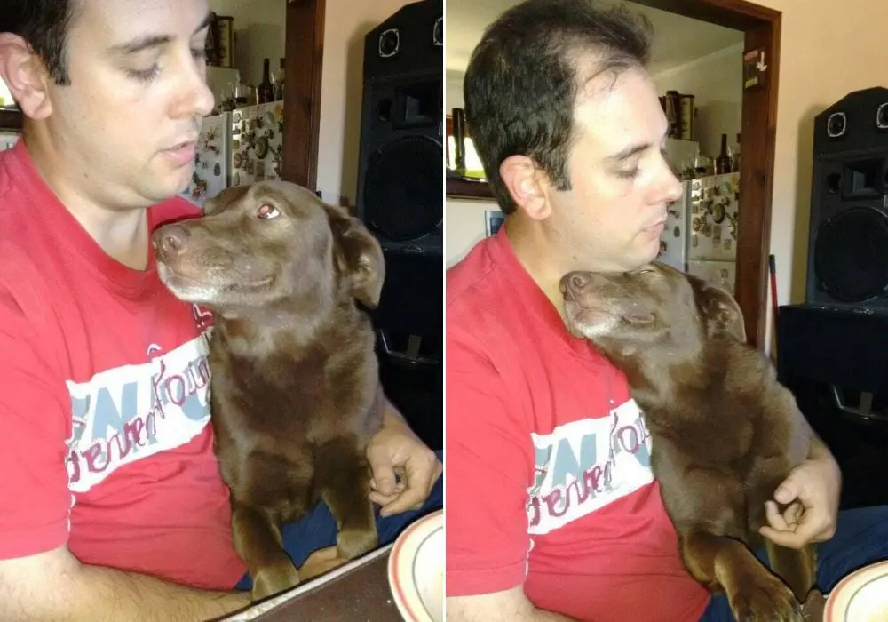 photo of dog and his owner