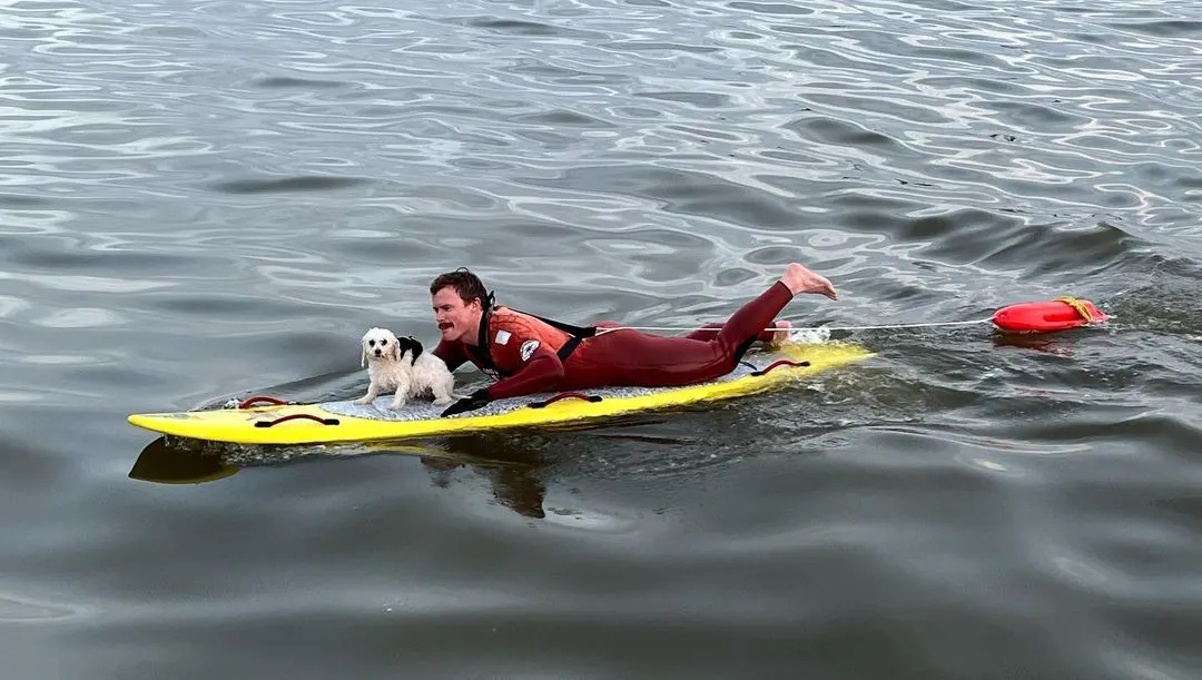 photo of lifeguard and tiny dog on a paddleboard