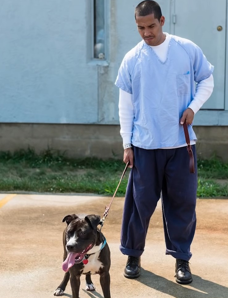 portrait of a man on the street with his dog