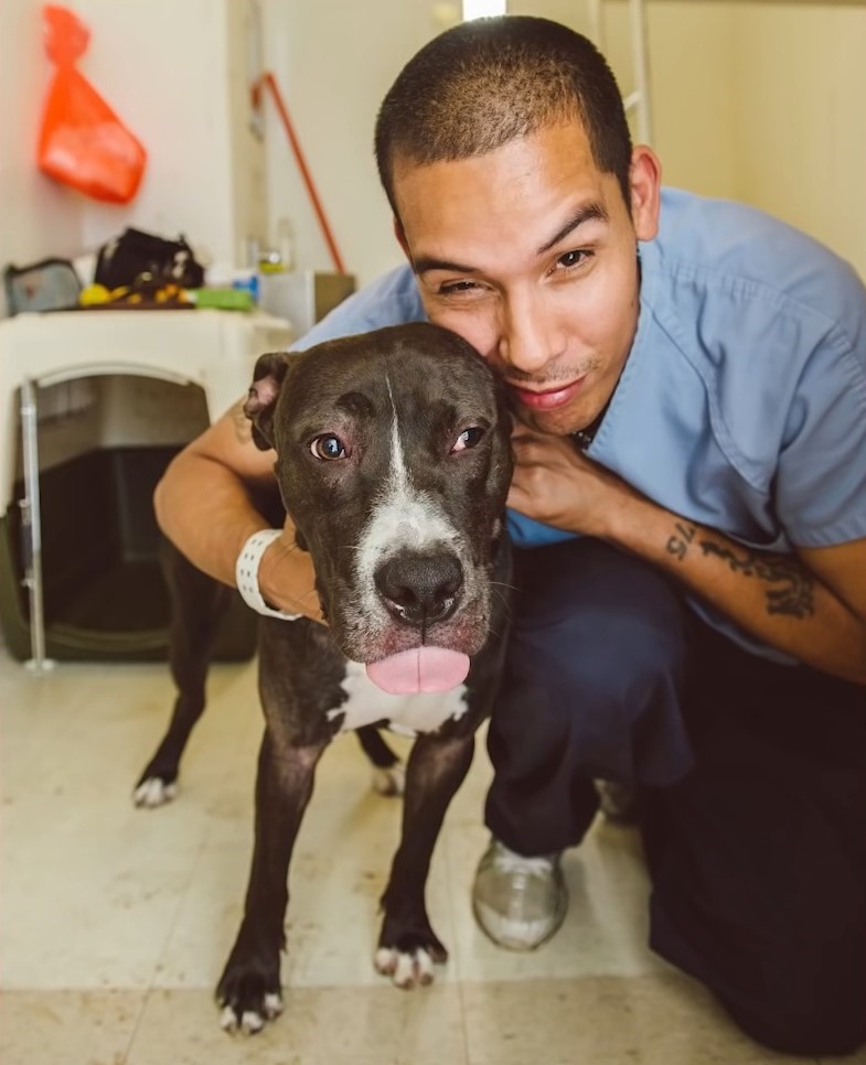 portrait of dog and owner