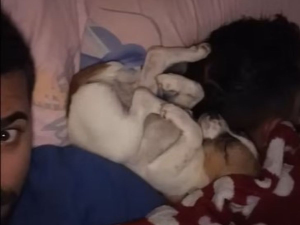 puppy curled up sleeping next to man