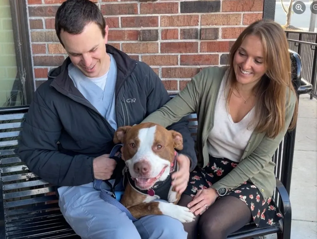 smiling man and woman sitting on bench with pit bull