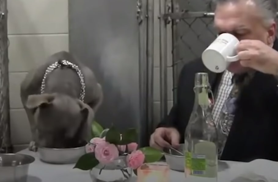 the dog eats next to the owner