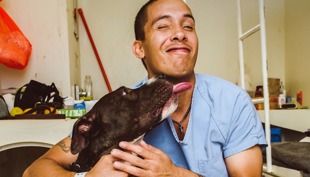 the dog is trying to lick its owner