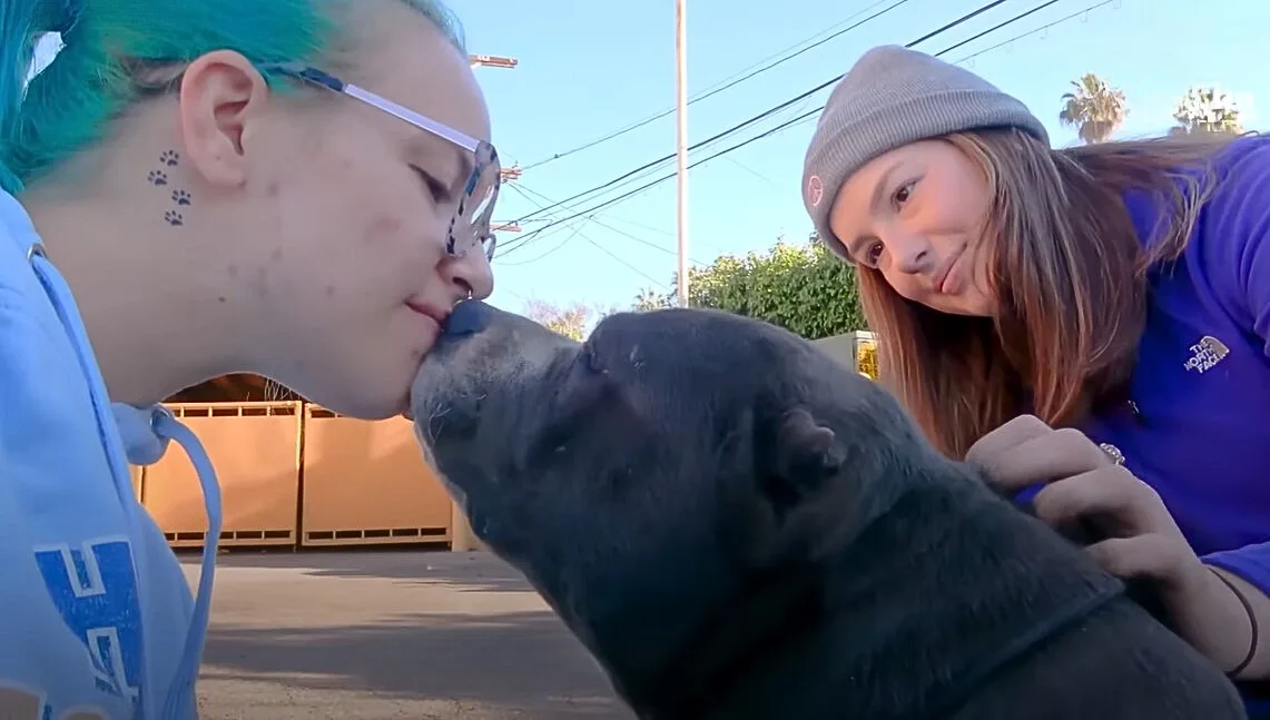 the dog kisses the rescuer's wife