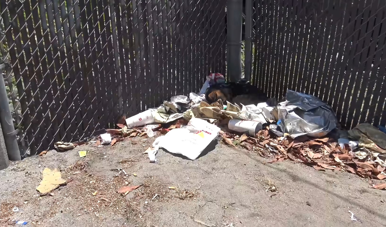 the dog sleeps next to the fence on the garbage