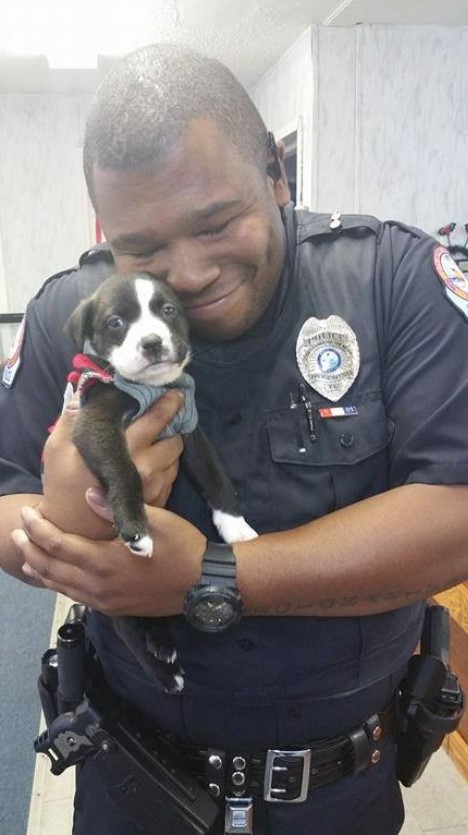 the policeman is holding a cute puppy in his arms