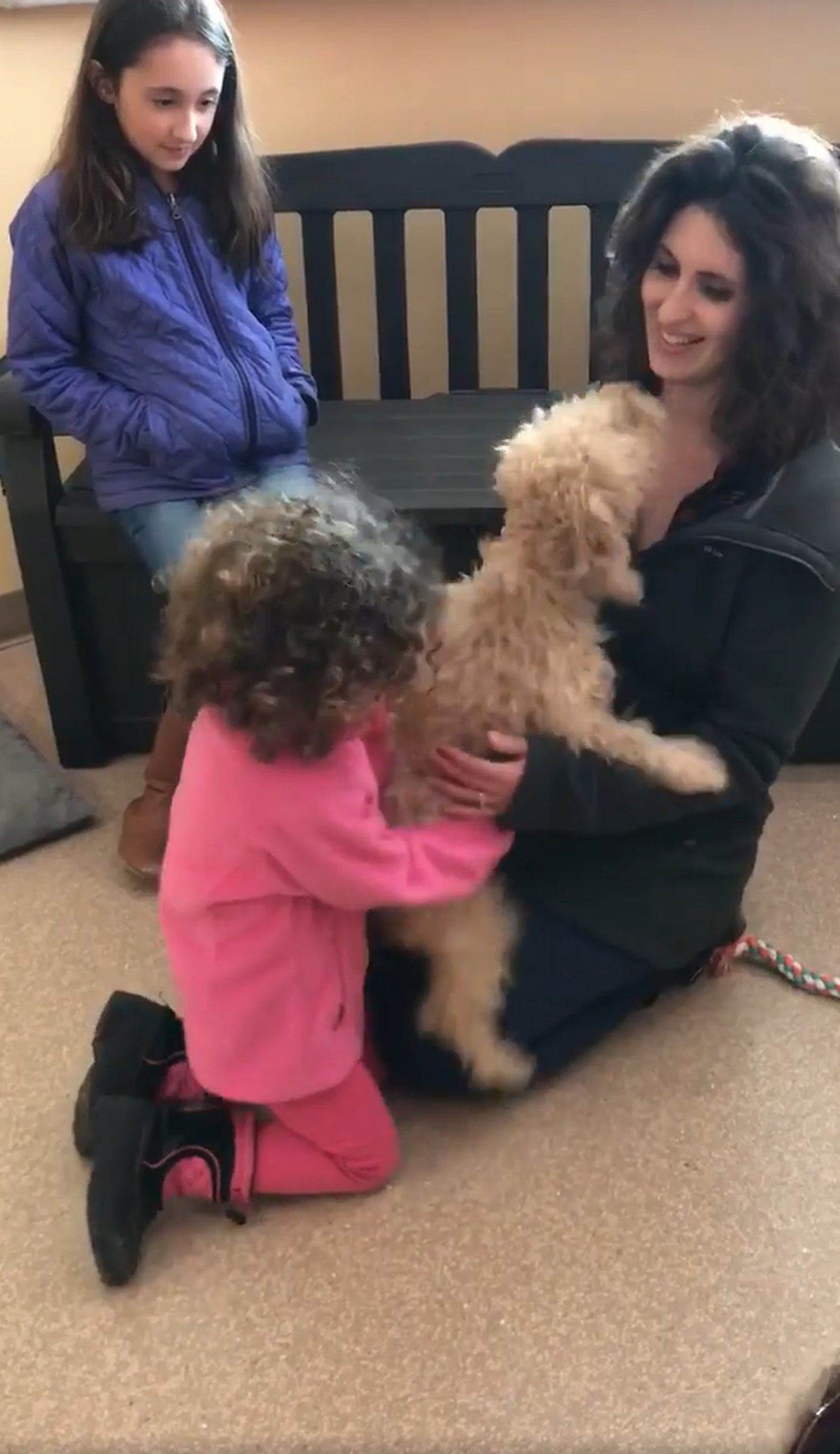 three girls playing with dog