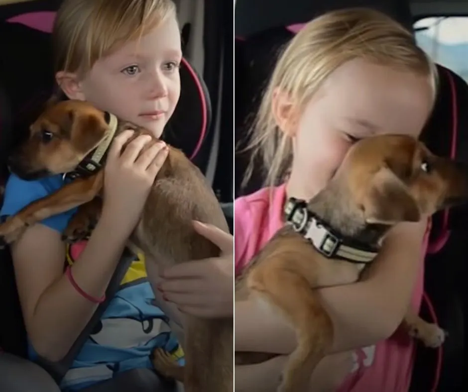 two little girls holding a dog