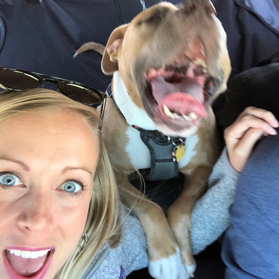 very happy dog