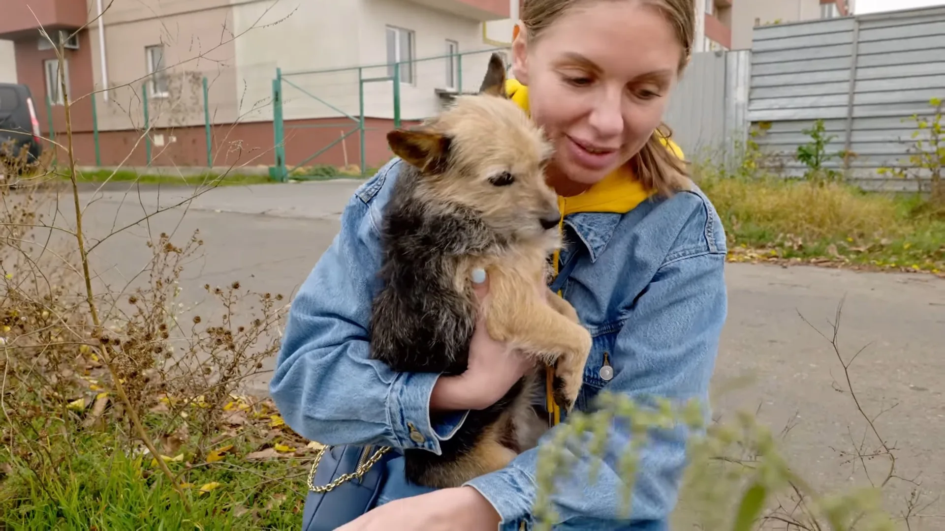 mujer cargando un perro