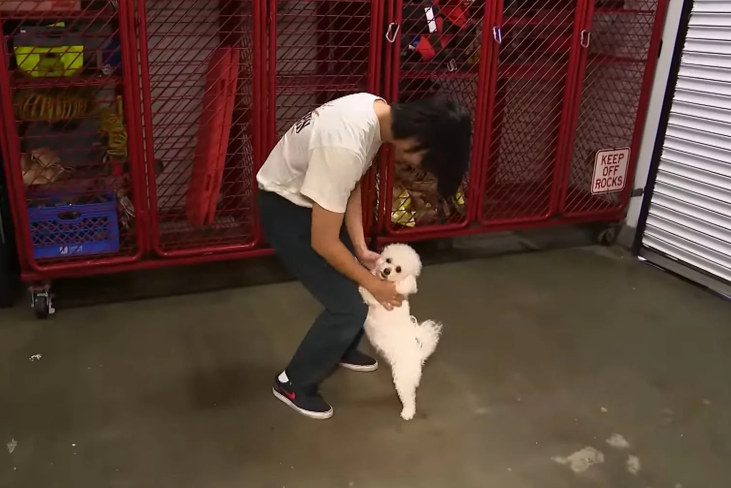 woman dancing with tiny dog