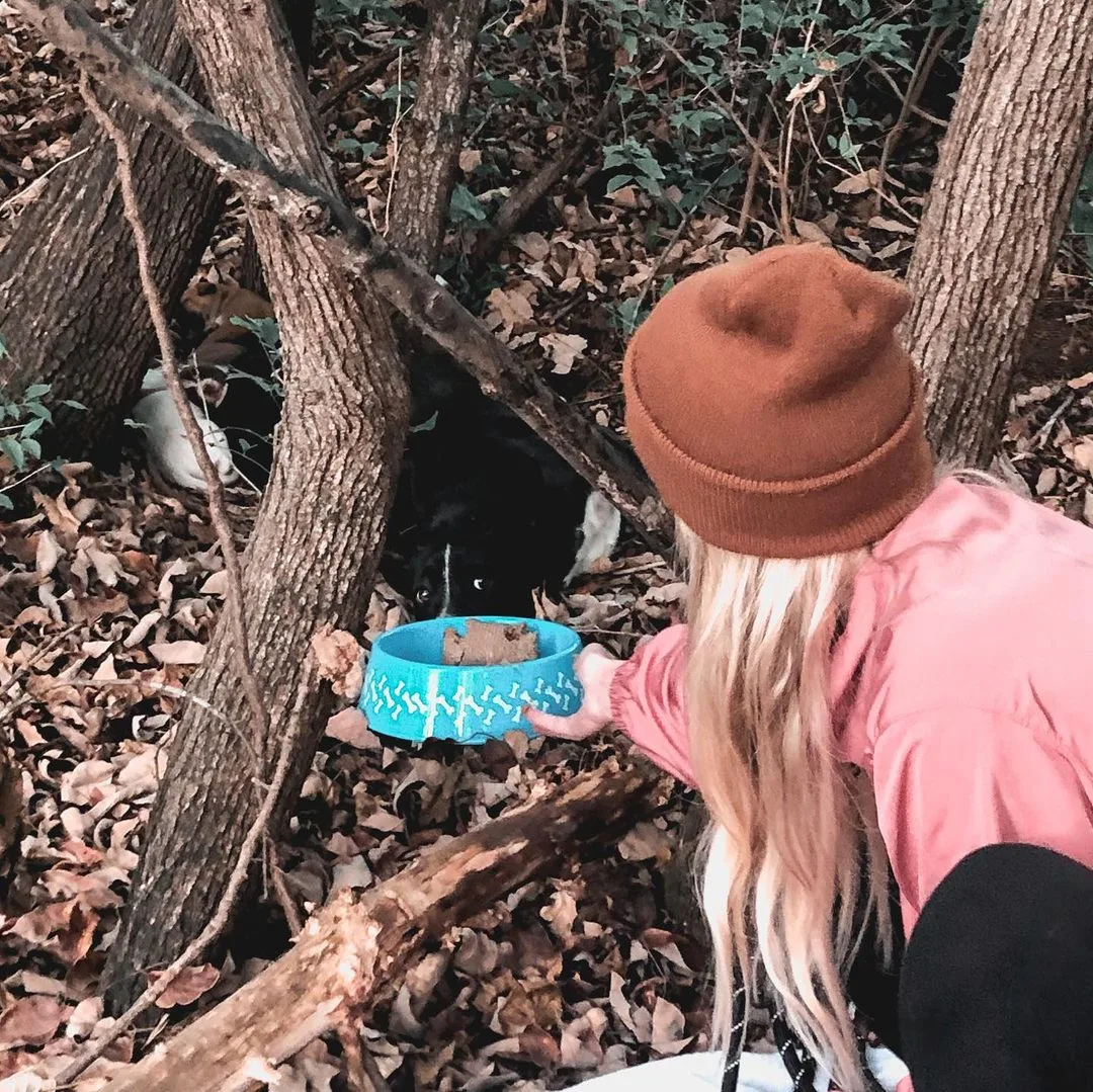 mujer alimentando al perro en el bosque