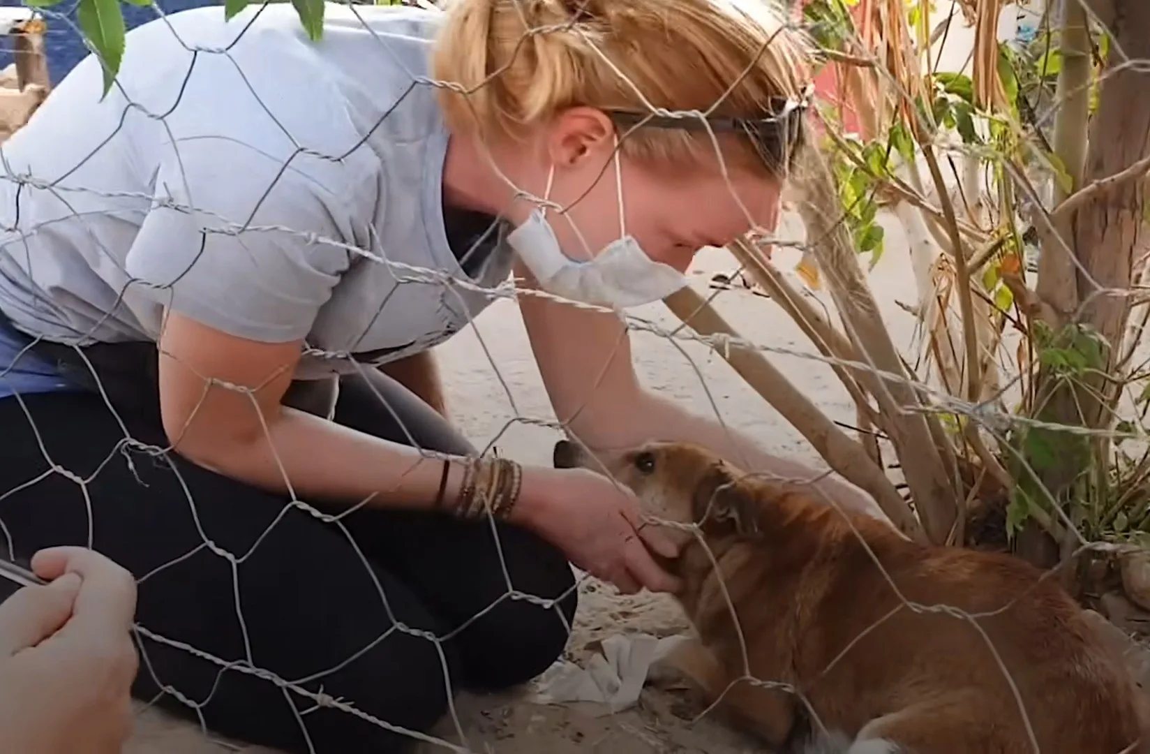 mujer con mascarilla y un perro