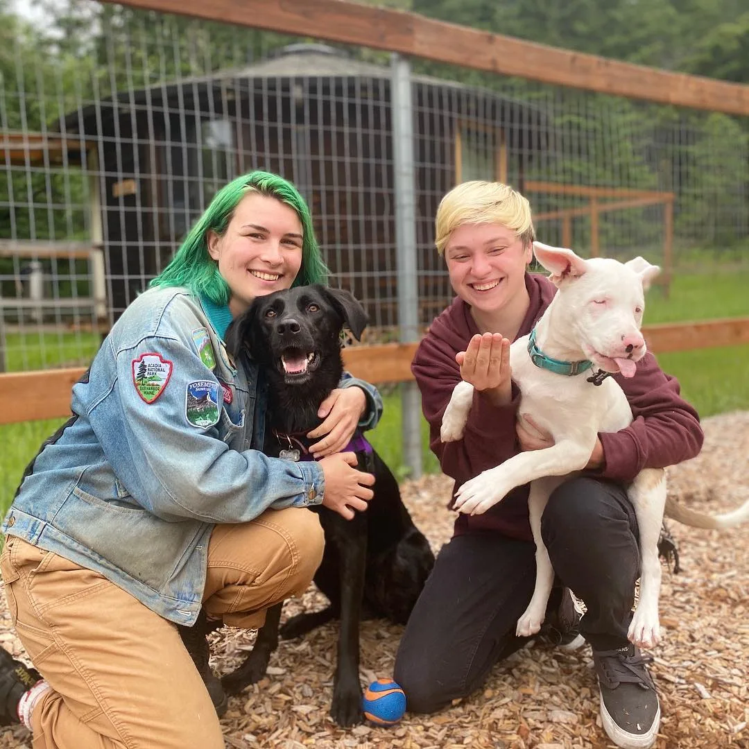 mujeres posando con perros