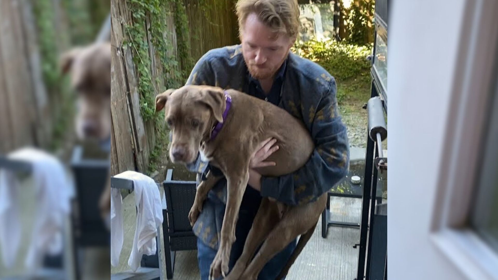 man carrying a dog