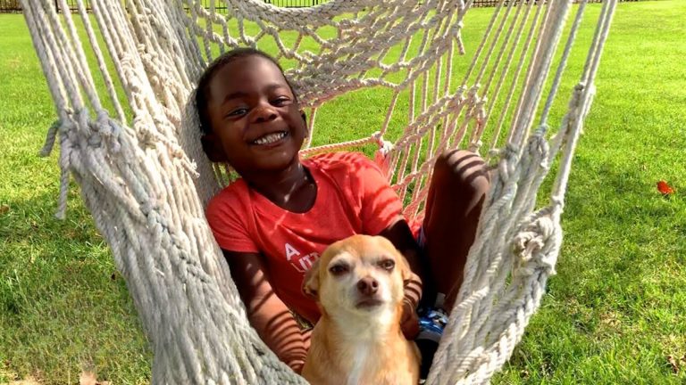 dog and kid on a swing