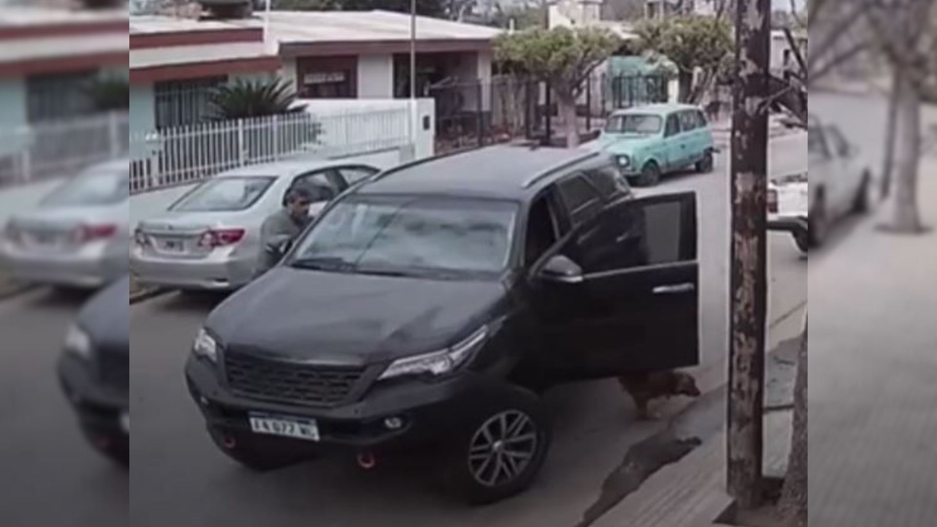 A Dog Sneaks Into His Owner’s Car And Manages To Crash It Into A Wall
