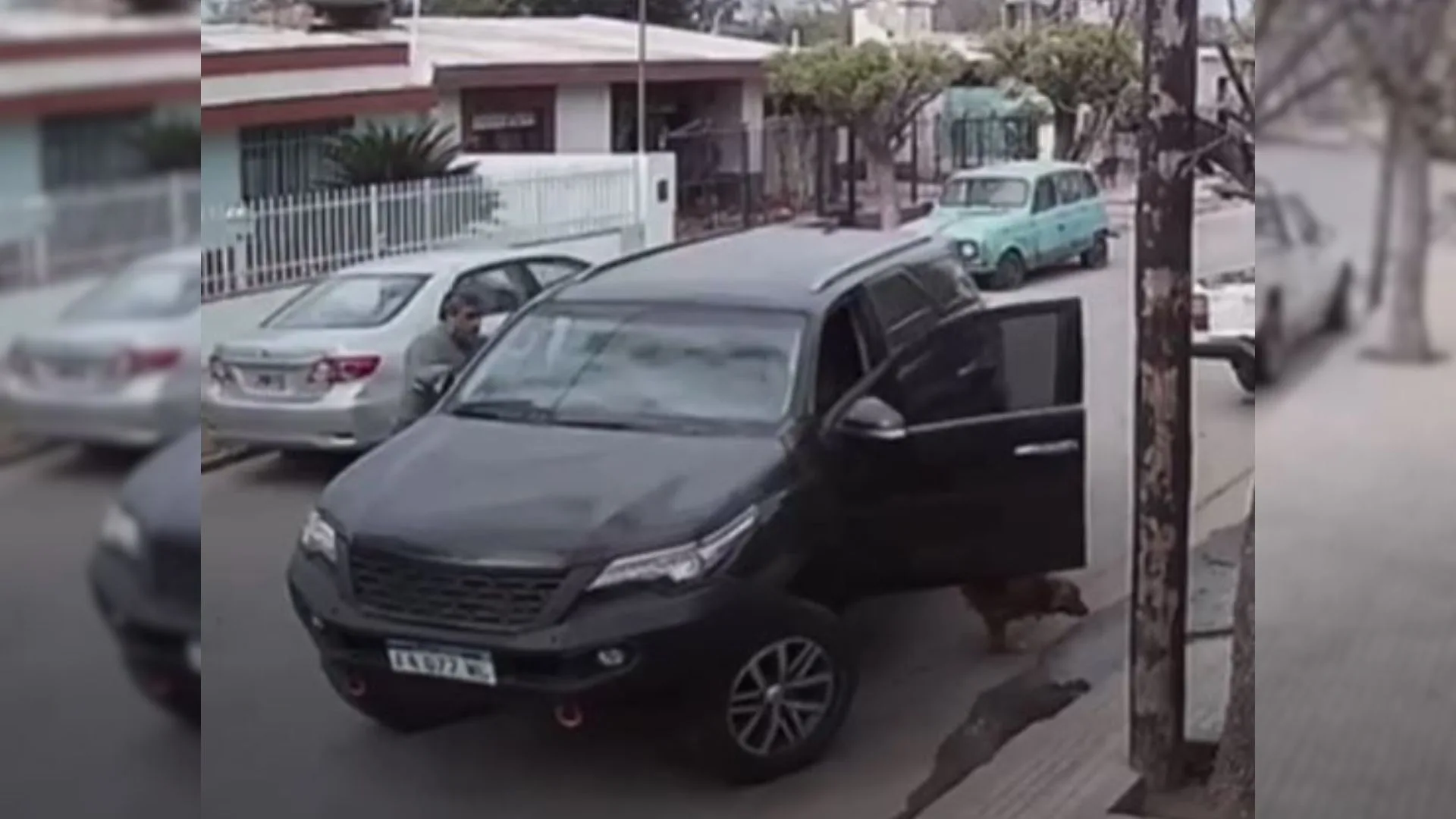 Un perro se cuela en el coche de su dueño y logra estrellarlo contra una pared