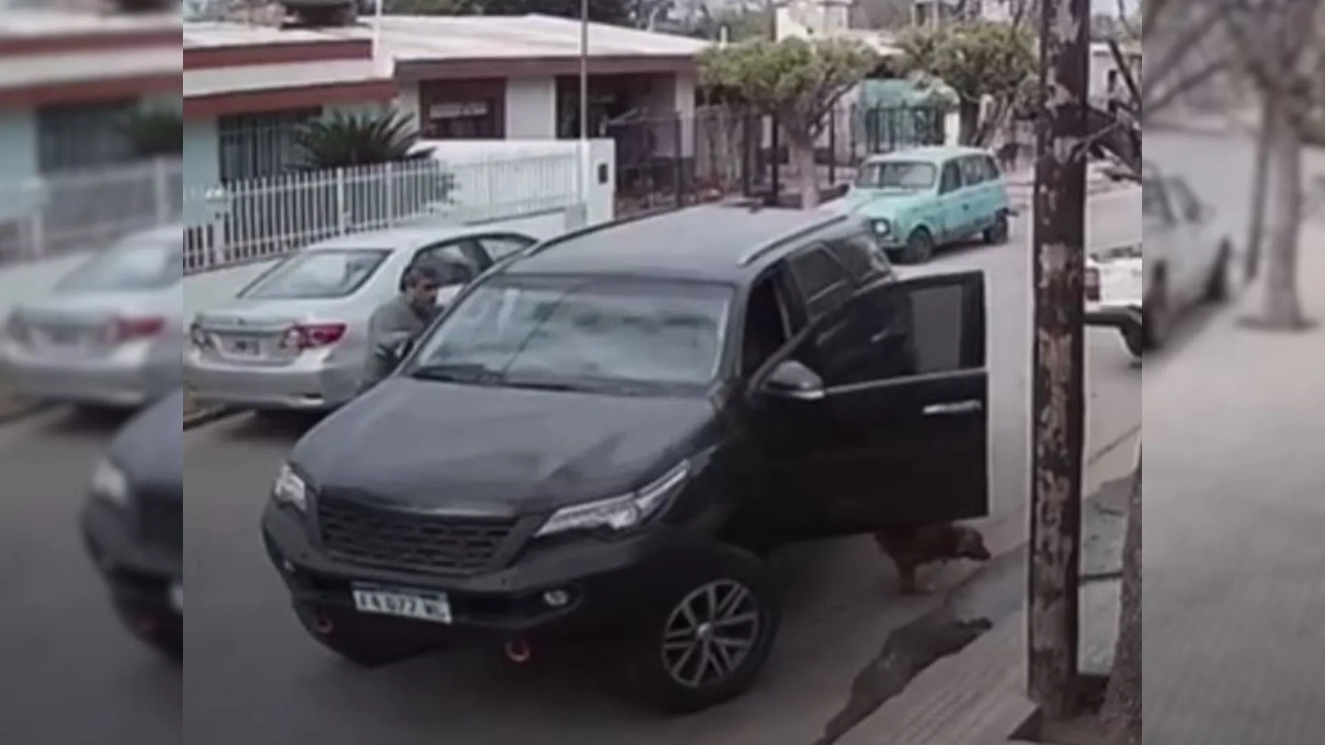 A Dog Sneaks Into His Owner's Car