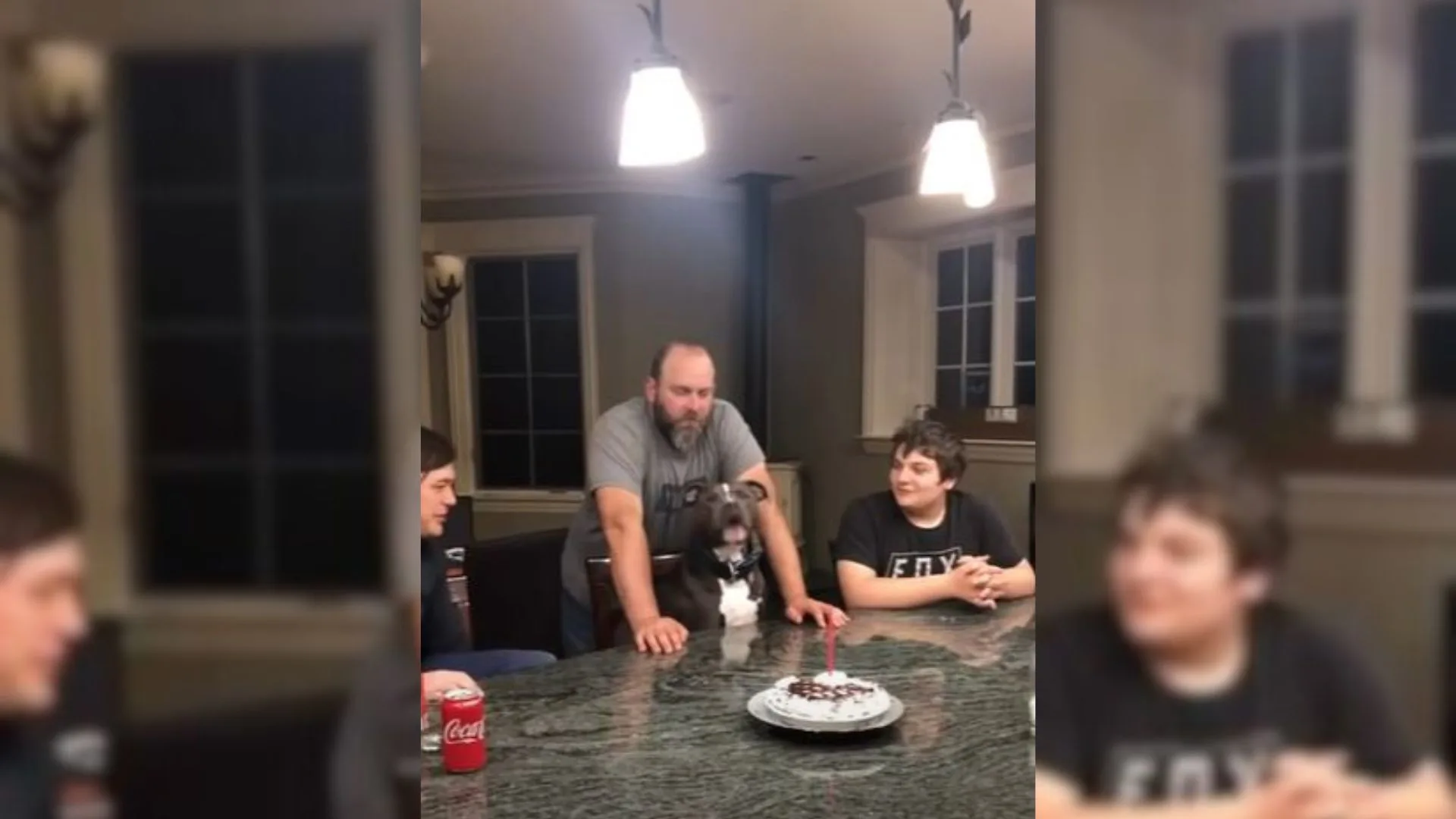 dog and family