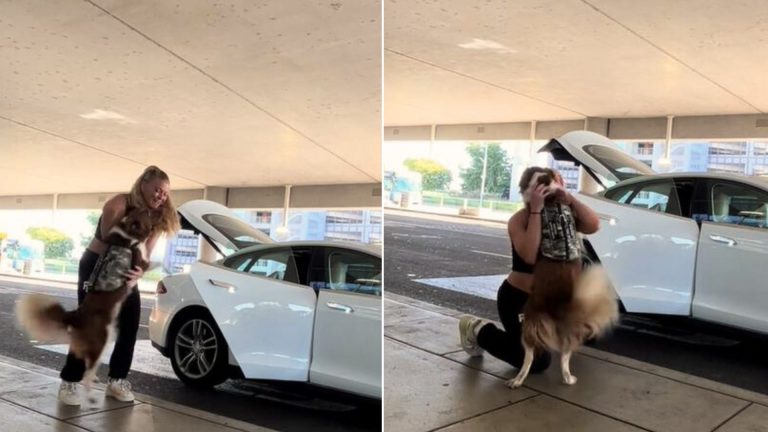 The Dog Is Thrilled To Finally Reunite With His Owner