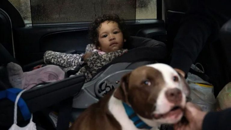 cute girl and her dog