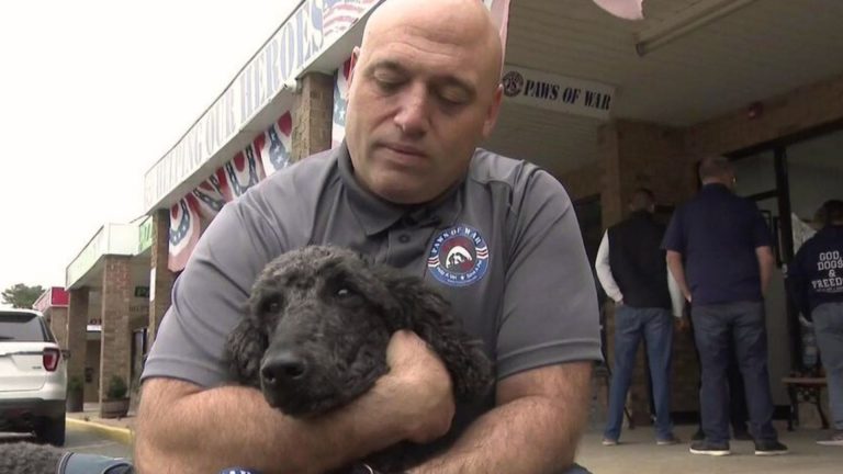 veteran and black dog