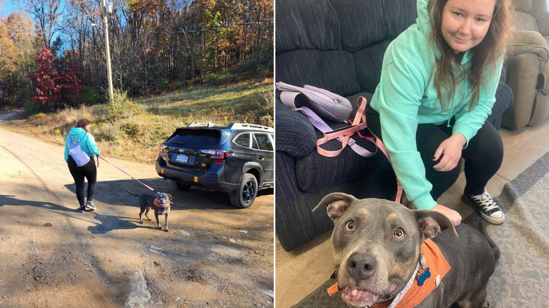 Longtime Shelter Dog Adopted After A Shocking Realization, Proving That It Was Meant To Be