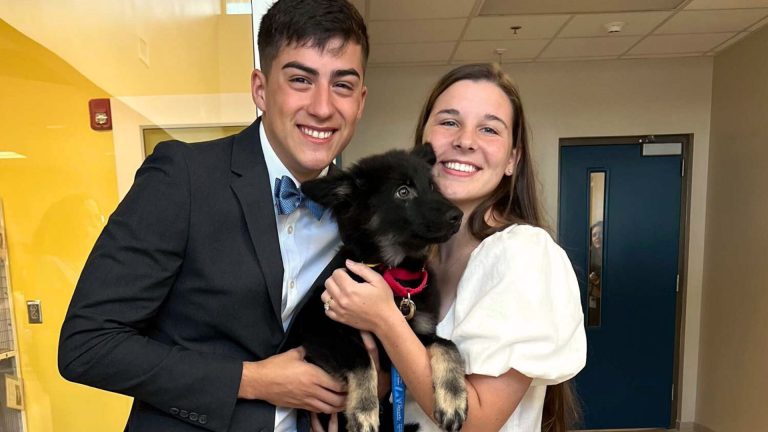 Marine Couple Reschedules Their Wedding To Adopt A Dog