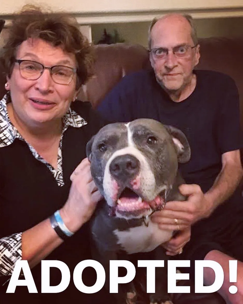 Old couple with adopted dog