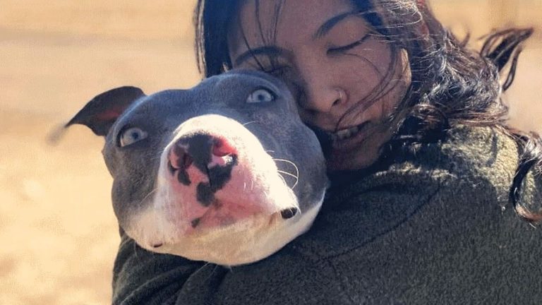 woman hugging pitbull