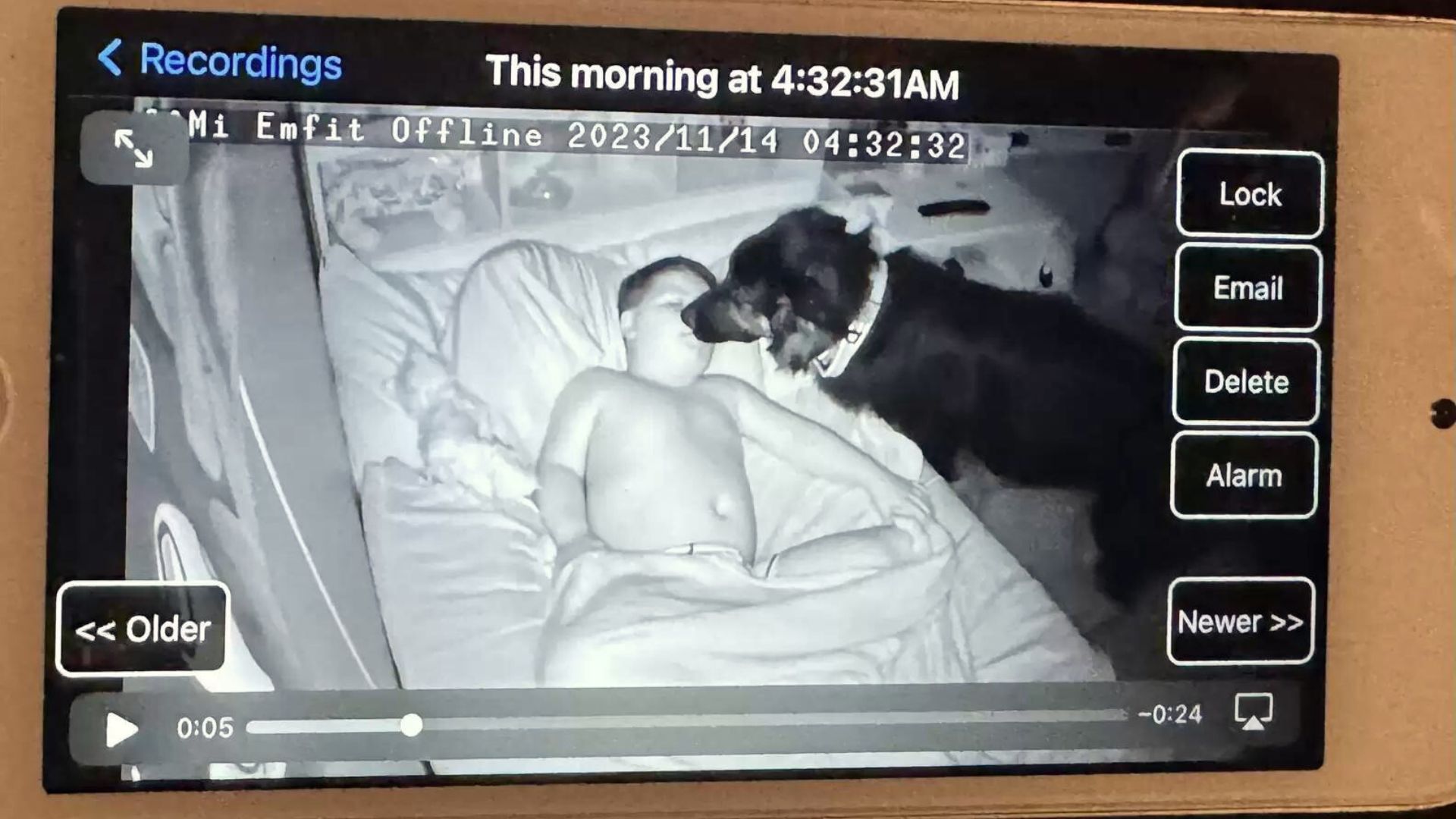 Puppy Caught On Camera Sneaking Into His Brother's Room