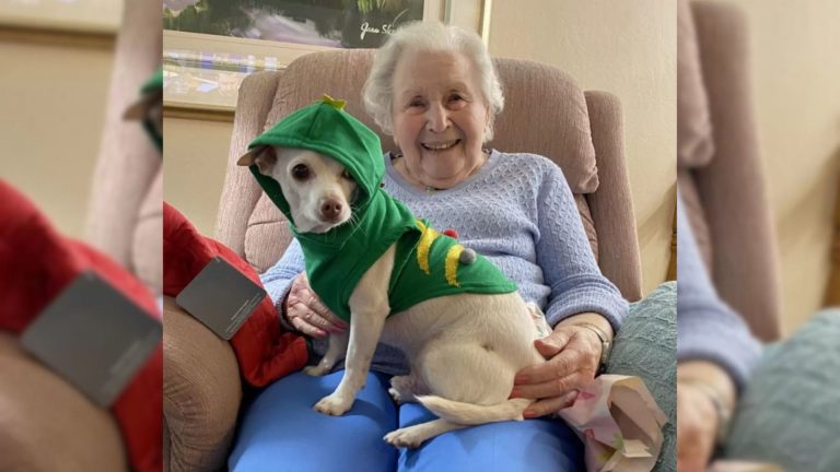 woman holding adopted dog in her lap