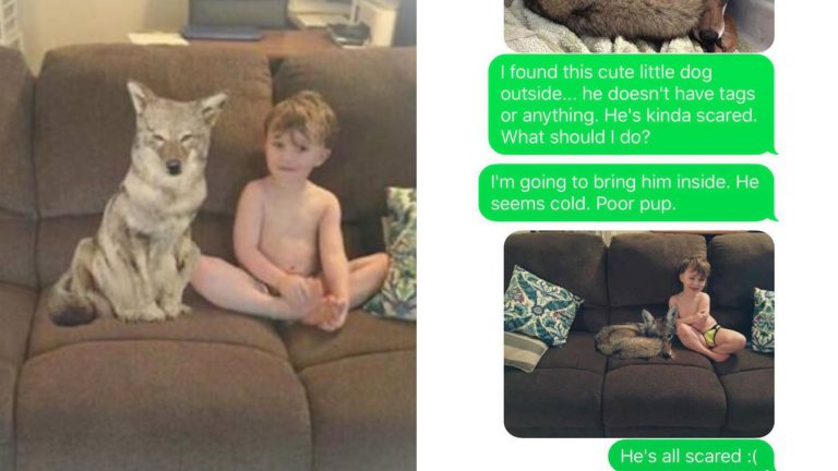 wife pranks husband